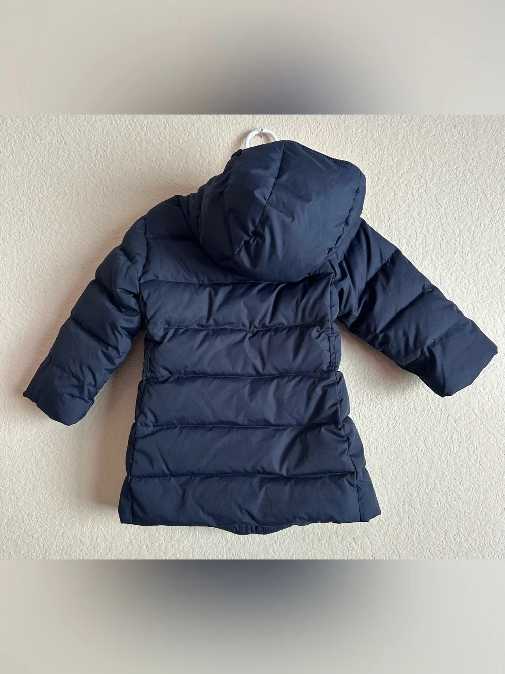 Crewcuts adorable high